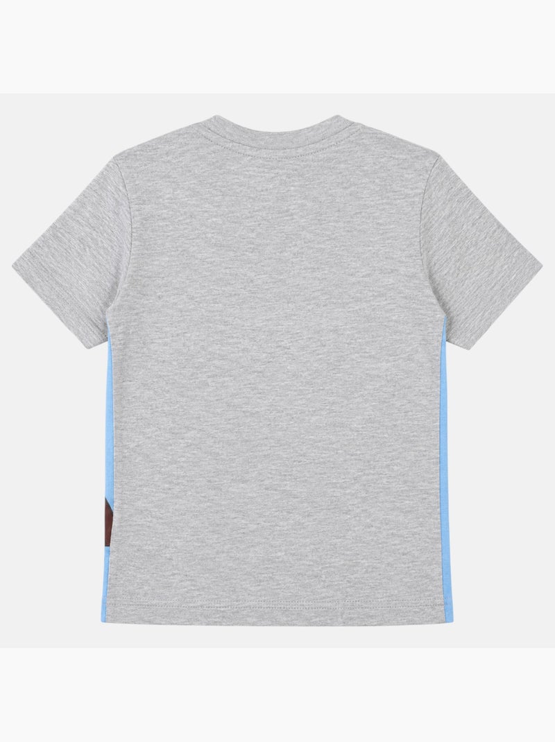 Pat Patrouille - T-shirt manches courtes enfant imprimé Gris - Kiabi