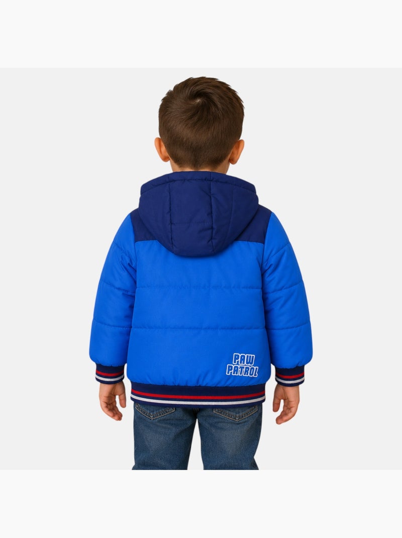 Paw Patrol - Gewatteerde jas jongen bedrukt Blauw - Kiabi