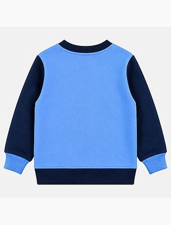 Paw Patrol - Sweater jongen bedrukt