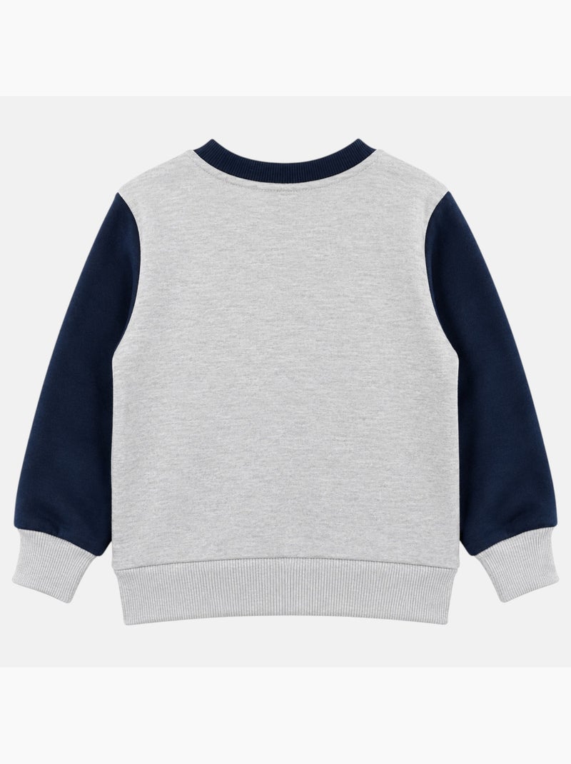 Paw Patrol - Sweater jongen bedrukt Grijs - Kiabi