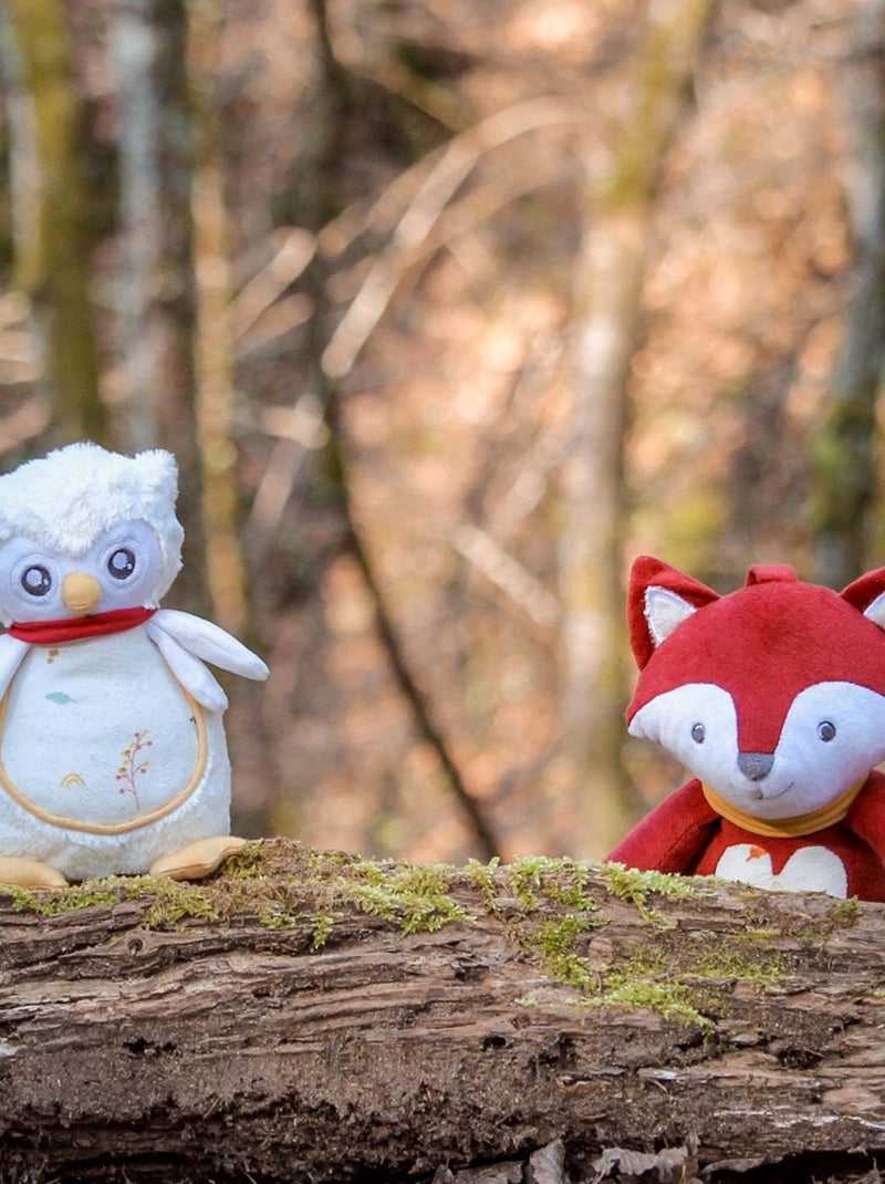 Peluche Musicale Chouette Blanc - Kiabi