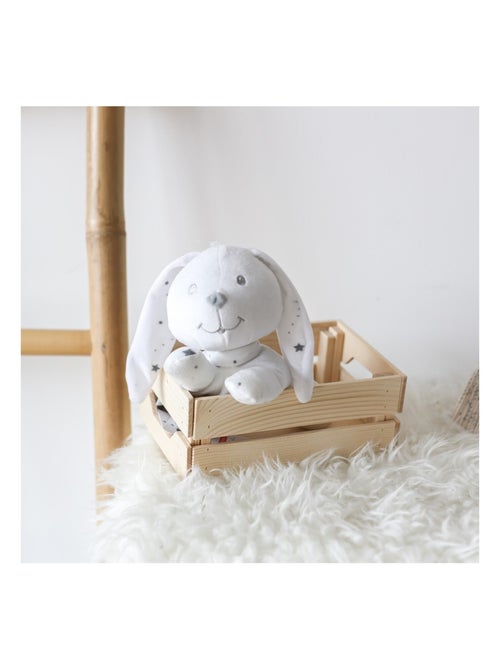 Peluche petit lapin - Kiabi