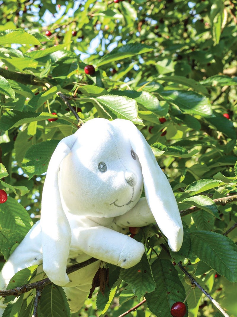 Peluche petit lapin N/A - Kiabi