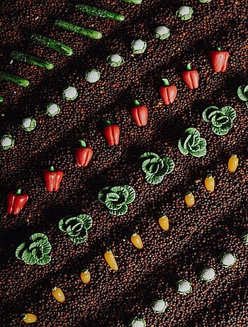 Petit boum | bouteille sensorielle learn légumes