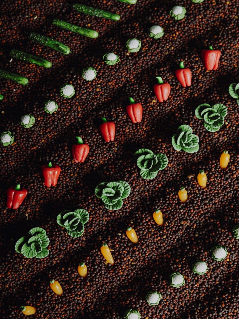 Petit boum | bouteille sensorielle learn légumes Multicolore - Kiabi