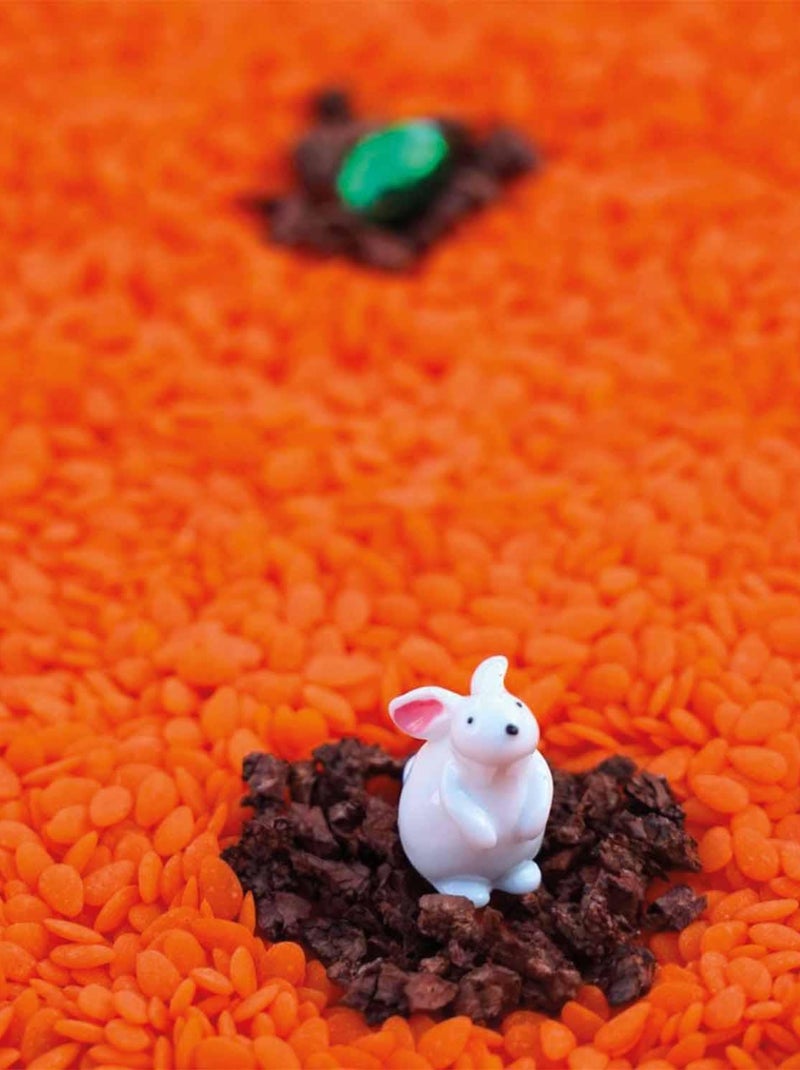 Petit boum | bouteille sensorielle sound lapin Multicolore - Kiabi