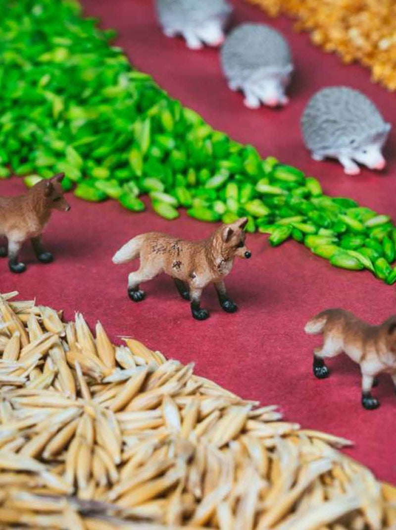 Petit boum | bouteille sensorielle spy forêt Beige - Kiabi