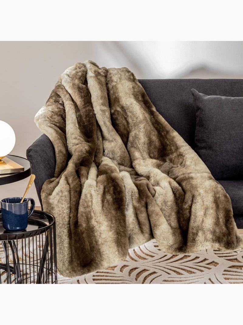 Plaid GRIZZLI Marron - Kiabi