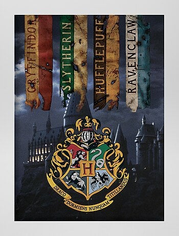 Plaid 'Harry Potter' - Kiabi