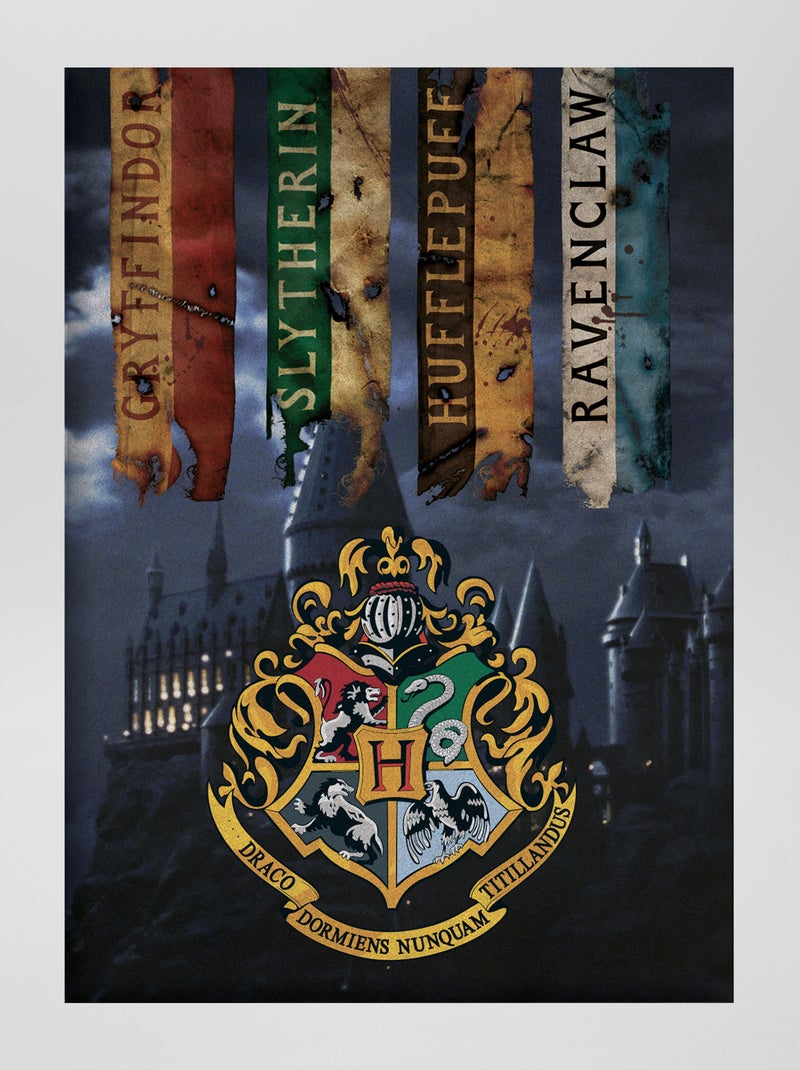 Plaid 'Harry Potter' ZWART - Kiabi