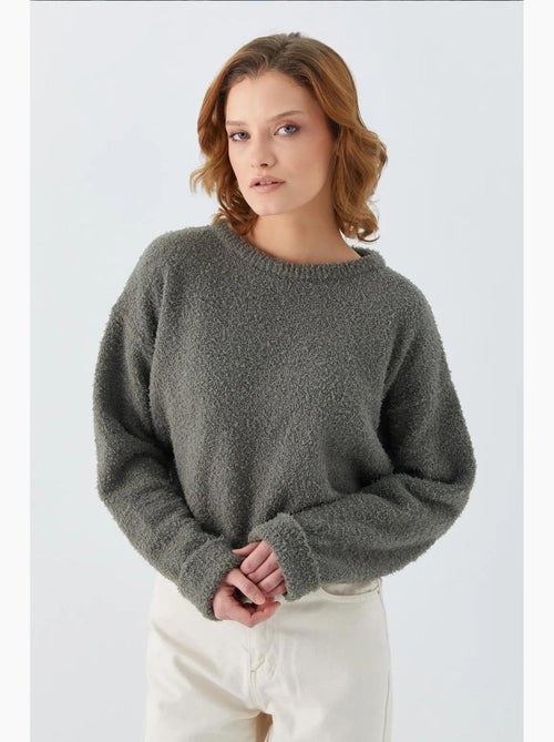 Pluche sweater met textuur, cropped gebreid mixray - Kiabi