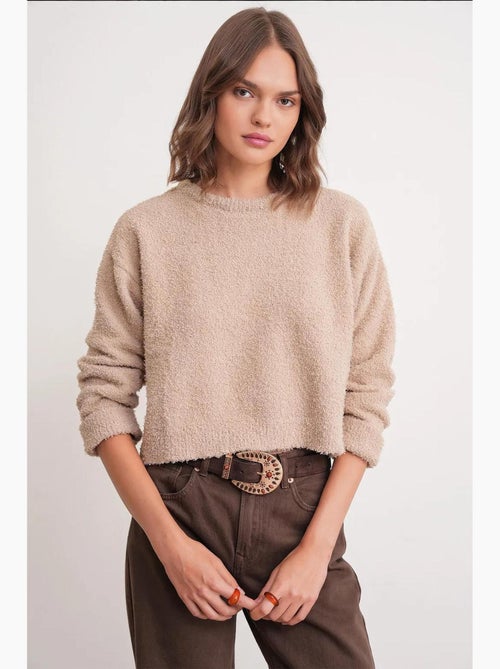 Pluche sweater met textuur, cropped gebreid mixray - Kiabi