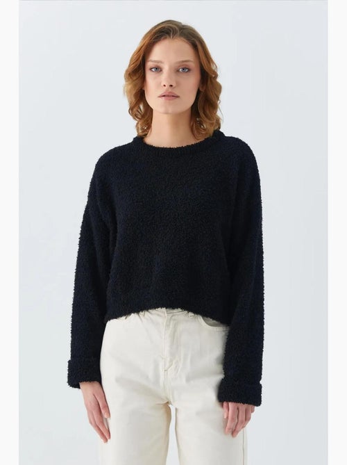 Pluche sweater met textuur, cropped gebreid mixray - Kiabi