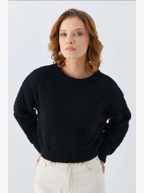 Pluche sweater met textuur, cropped gebreid mixray - Kiabi