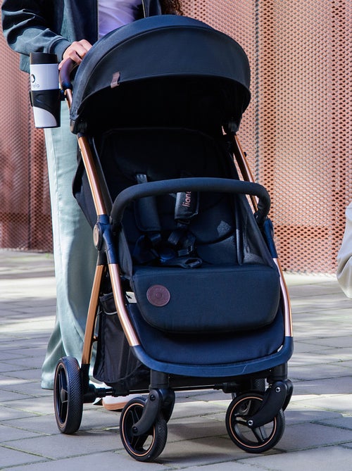 Poussette compacte LIONELO Ingrid - Amortissements - Jusqu'à 22 Kg - Légère & pliable - Kiabi Poussette compacte LIONELO Ingrid - Amortissements - Jusqu'à 22 Kg - Légère & pliable - Kiabi
