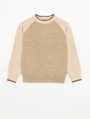 Pull avec manches contrastées