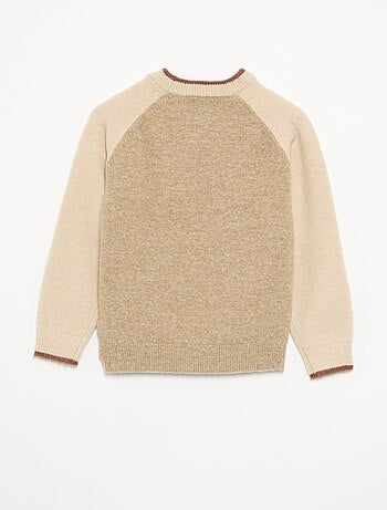 Pull avec manches contrastées
