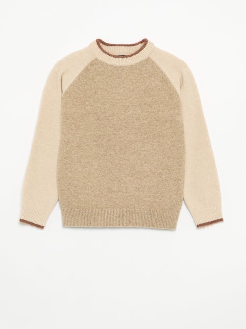Pull avec manches contrastées - Kiabi