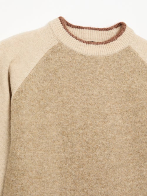 Pull avec manches contrastées - Kiabi