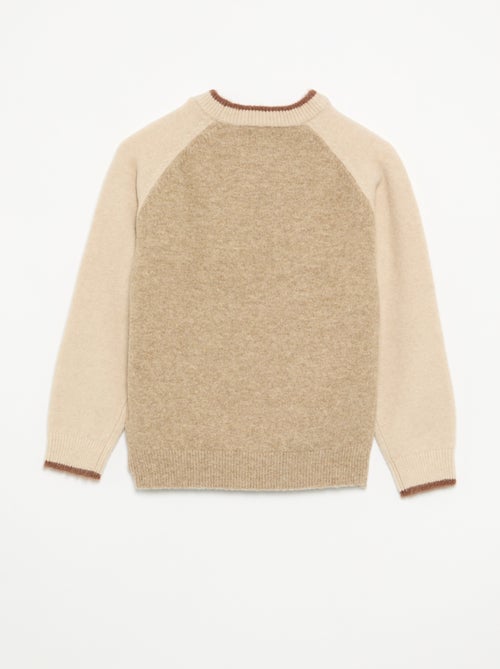 Pull avec manches contrastées - Kiabi