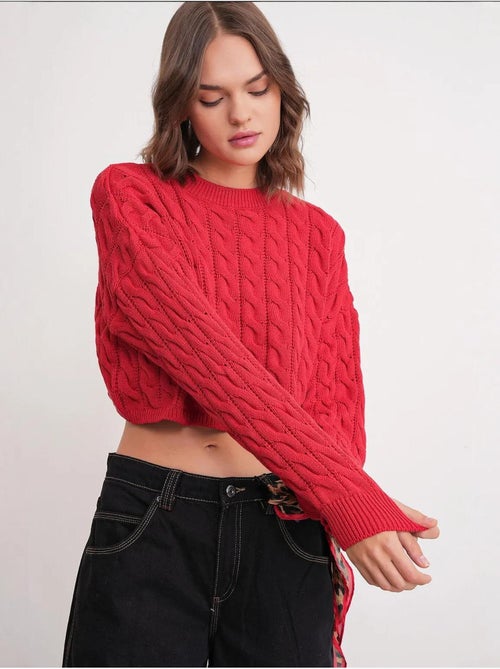 Pull court épais avec motif tresse mixray - Kiabi