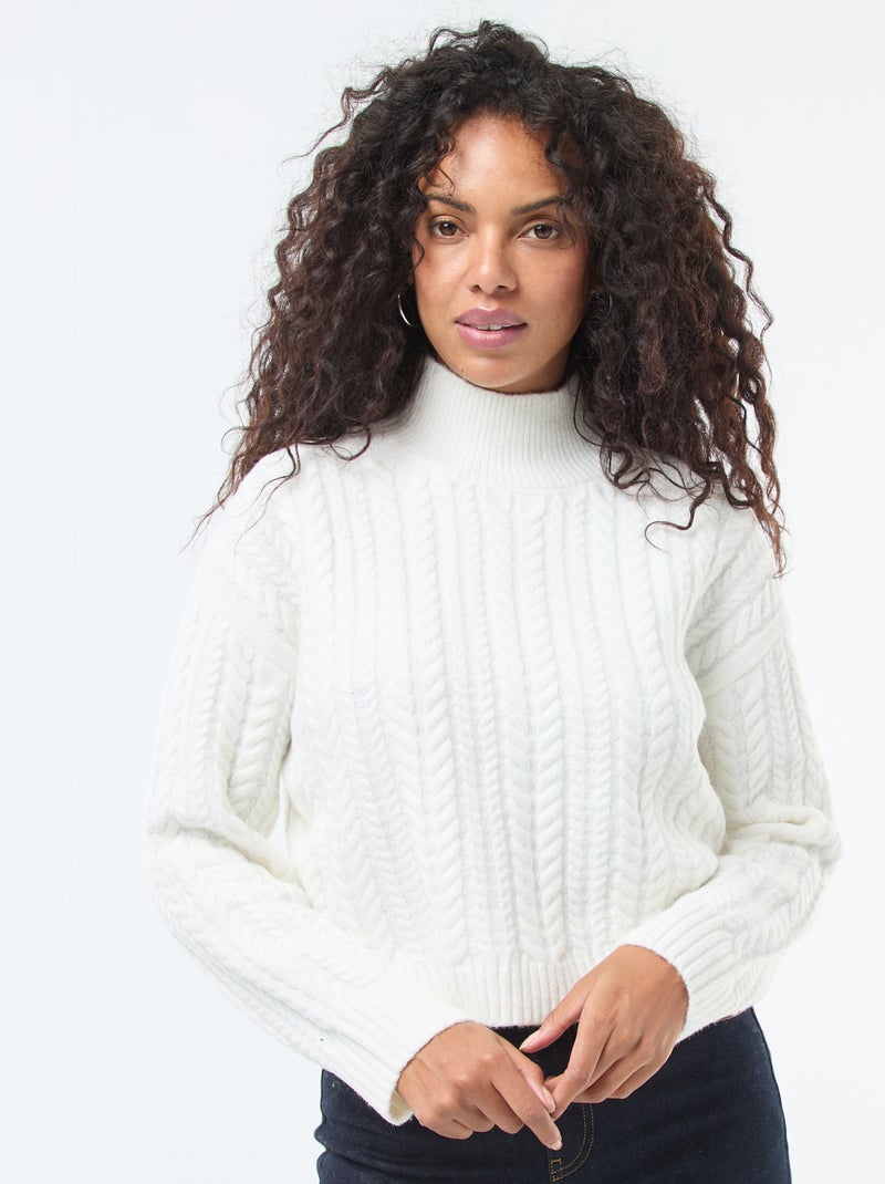 Col Rond Kiabi Pull Femme Col RoulÃ© Pull En Maille Torsade Et Col