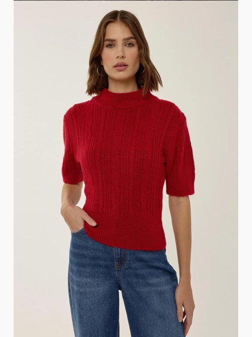 Pull en tricot à manches courtes et demi-col roulé avec tresses hiccup - Kiabi