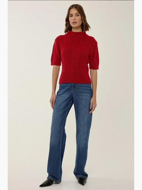 Pull en tricot à manches courtes et demi-col roulé avec tresses hiccup - Kiabi
