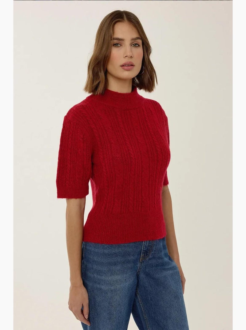 Pull en tricot à manches courtes et demi-col roulé avec tresses hiccup Rouge - Kiabi
