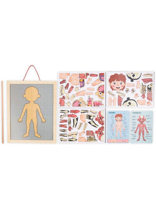 Puzzle magnétique tableau anatomie corps humain bois mamabrum - Kiabi