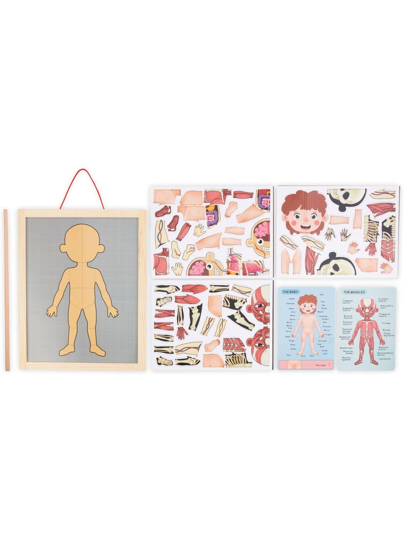 Puzzle magnétique tableau anatomie corps humain bois mamabrum N/A - Kiabi