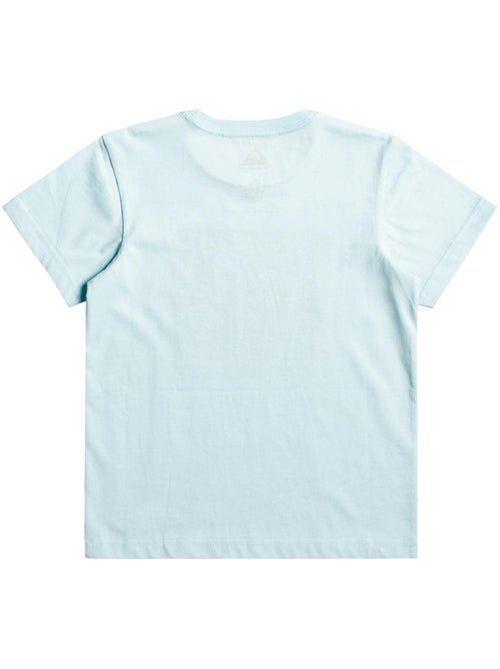 Quiksilver Boxedlogo Jongens T-shirt Turquoise - Kiabi