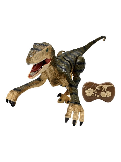 Rc velociraptor dinosaurus op afstandsbediening met realistische geluidseffecten - Kiabi Rc velociraptor dinosaurus op afstandsbediening met realistische geluidseffecten - Kiabi