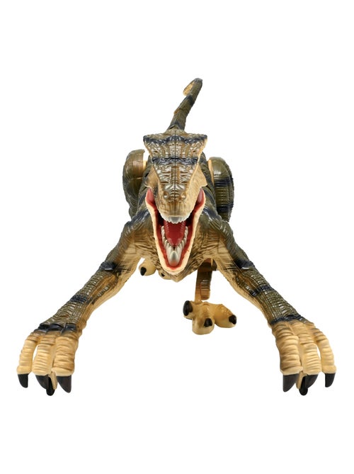 Rc velociraptor dinosaurus op afstandsbediening met realistische geluidseffecten - Kiabi Rc velociraptor dinosaurus op afstandsbediening met realistische geluidseffecten - Kiabi