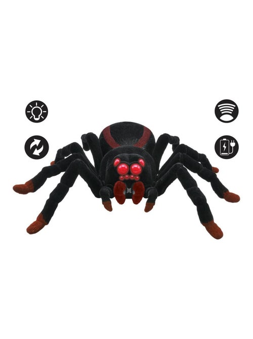 Realistische rc tarantula met lichteffecten - Kiabi Realistische rc tarantula met lichteffecten - Kiabi