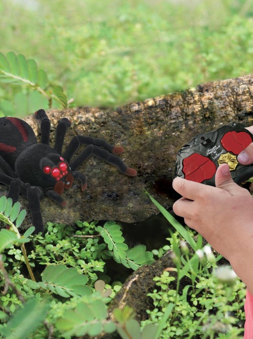 Realistische rc tarantula met lichteffecten - Kiabi Realistische rc tarantula met lichteffecten - Kiabi