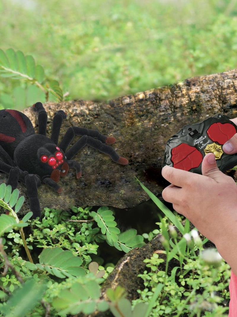 Realistische rc tarantula met lichteffecten Zwart - Kiabi