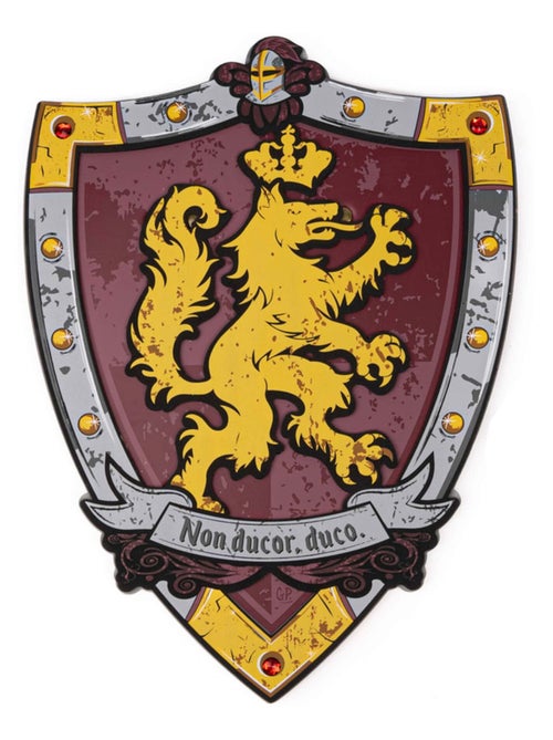 Ridder-schild honour van schuim - Kiabi