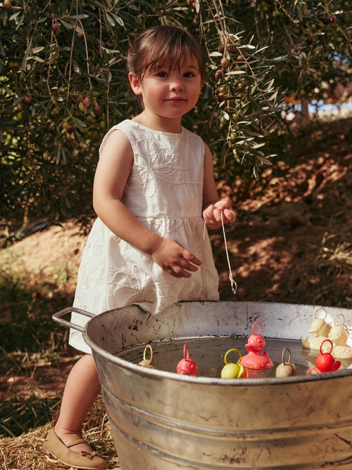 Robe avec broderies fleurs - Kiabi