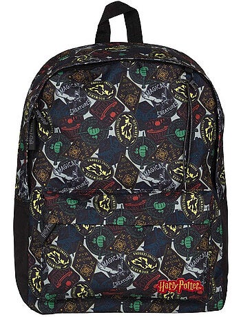 Rugzak 42 cm Borne meerkleurig met thema Harry Potter – Harry Potter