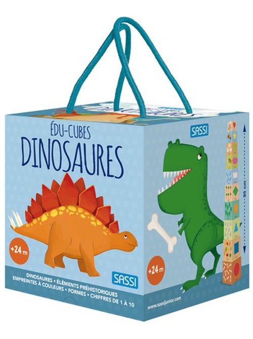 Sassi junior | cubes éducatifs et d'apprentissage les dinosaures - Kiabi