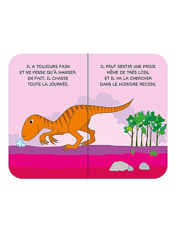 Sassi junior | lot de 8 livres - ma petite bibliothèque - les dinosaures