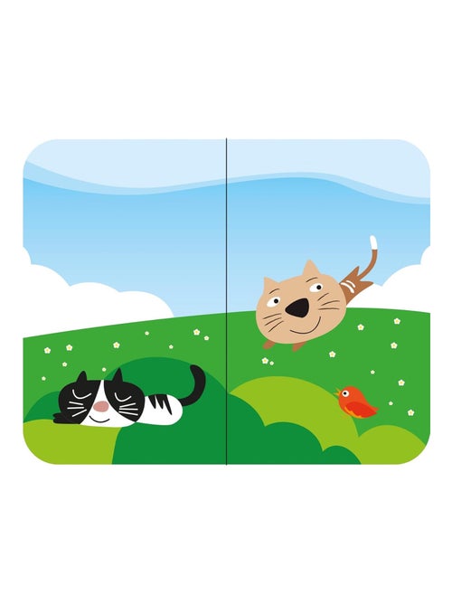 Sassi junior | lot de 8 livres - ma petite bibliothèque - mes petits animaux - Kiabi
