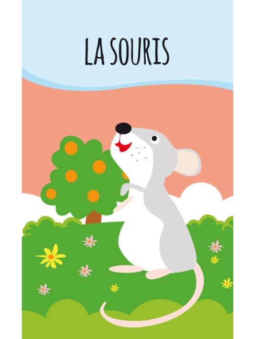 Sassi junior | lot de 8 livres - ma petite bibliothèque - mes petits animaux - Kiabi
