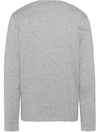 Schott brodedml grijs t-shirt voor heren