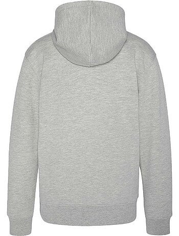 Schott hoodie grijs met logo voor heren