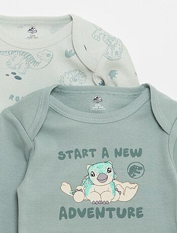 Set van 2 body's 'Jurassic Park'