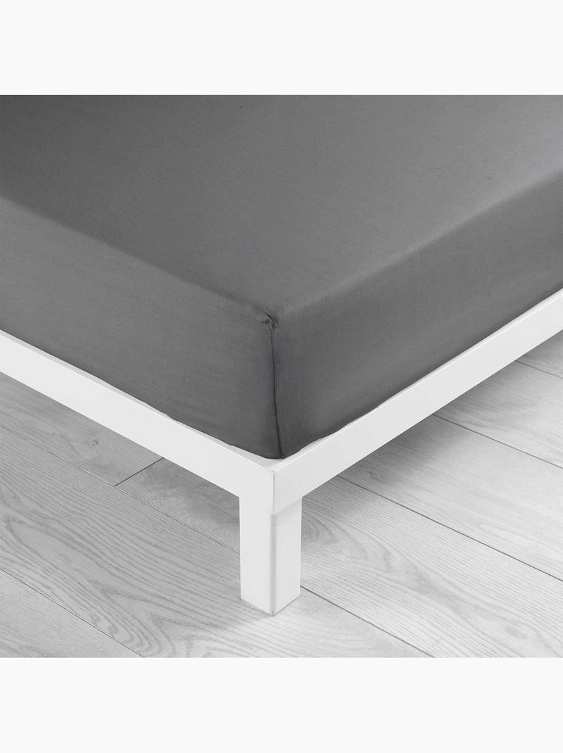Set van 2 hoeslakens queensize katoen 57 draden Antracietgrijs - Kiabi