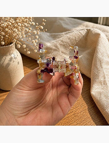 Set van 2 mini doorschijnende krab haarclips in acryl
