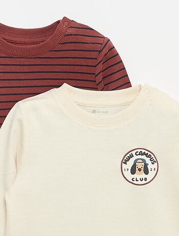 Set van 2 T-shirts met lange mouwen